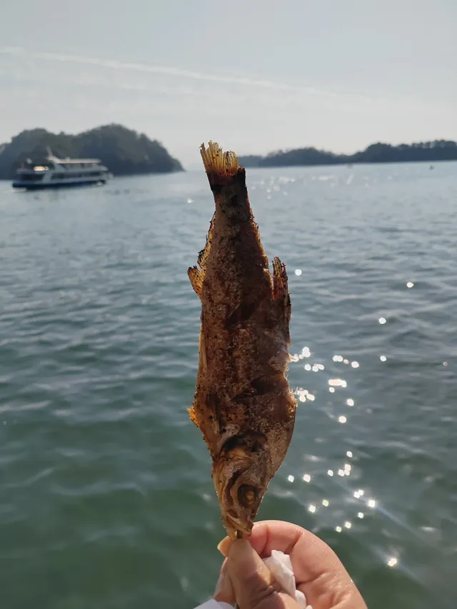 黃山下來80元新安江+千島湖薅羊毛攻略