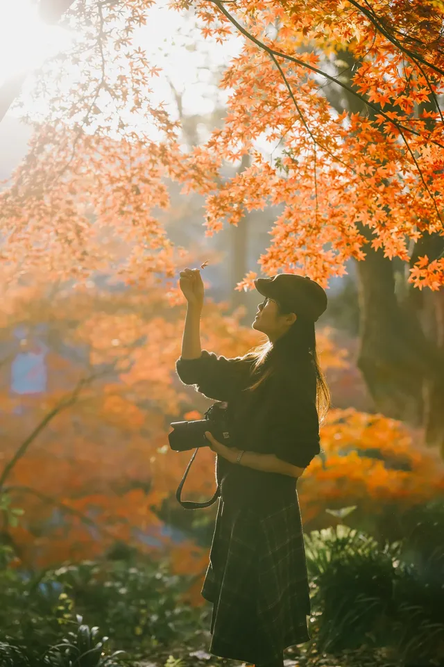 抬頭邂逅一場落地的「星辰」