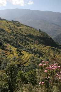 Everest Base Camp Trek 