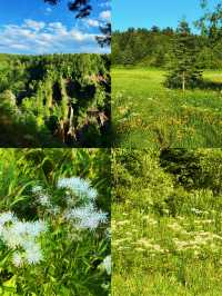 冰雪天堂 | 3天2夜玩轉長白山西坡!含溫泉滑雪漂流全攻略