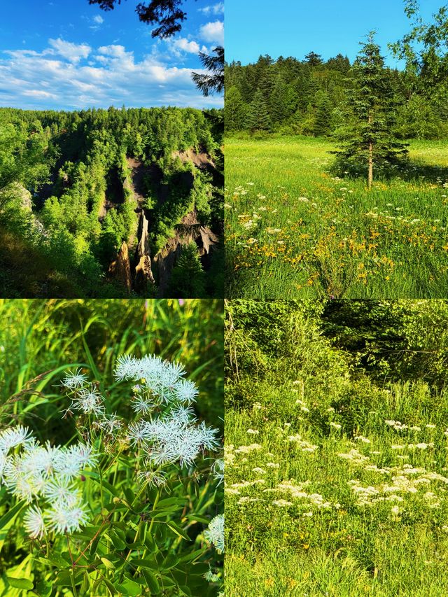 冰雪天堂 | 3天2夜玩轉長白山西坡!含溫泉滑雪漂流全攻略 冰雪天堂 | 3天2夜玩轉長白山西坡!含溫泉滑雪漂流全攻略