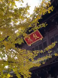 千年梵剎藏金陵，今日幸會雞鳴寺