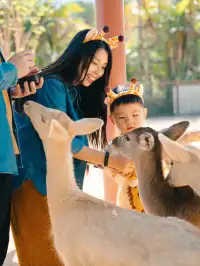 在清遠長隆拍到了絕美親子照