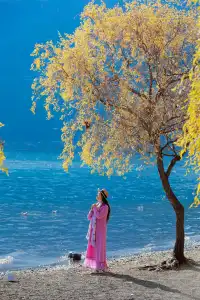 湖光山色共爭秋——瀘沽湖之秋