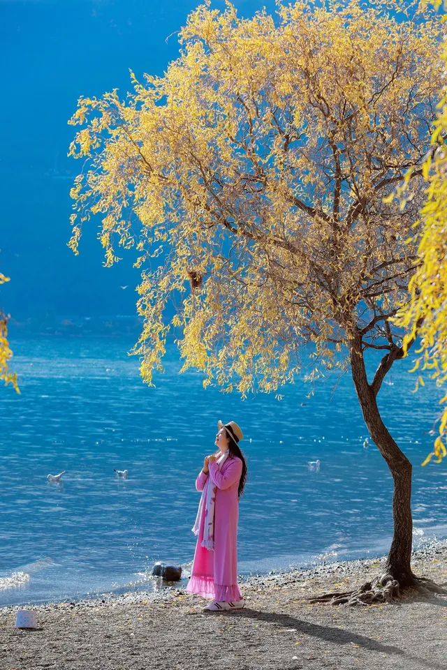 湖光山色共爭秋——瀘沽湖之秋