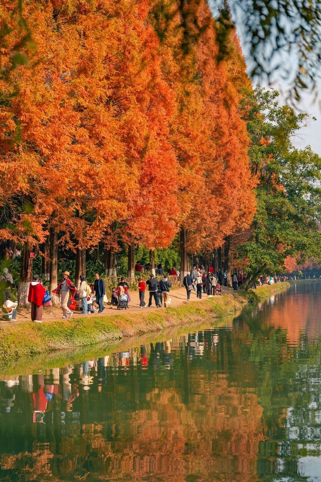 金色秘境打卡帶你飛