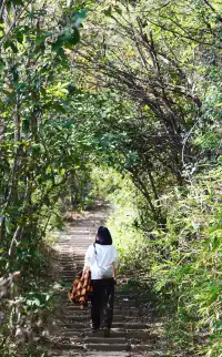 蔣公古道|5小時解鎖莫干山秋日限定美麗