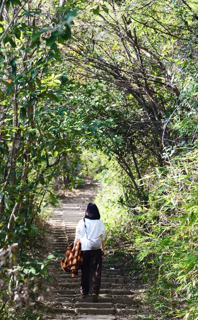 蔣公古道|5小時解鎖莫干山秋日限定美麗