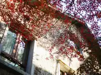 蔣公古道|5小時解鎖莫干山秋日限定美麗