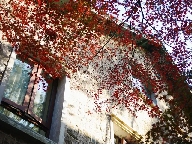 蔣公古道|5小時解鎖莫干山秋日限定美麗