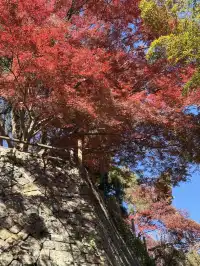 不避雷!莫干山自駕徒步賞秋滬人經驗貼