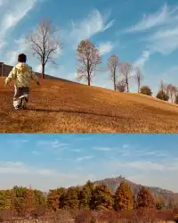 上海辰山植物園遛娃賞秋景