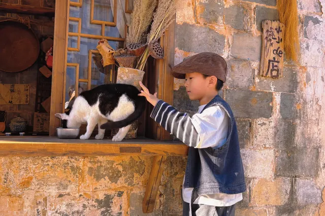 碧山村 | 是李白詩裡的人間秘境啊 碧山村 | 是李白詩裡的人間秘境啊