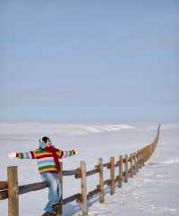 冰雪王國仙境漫步