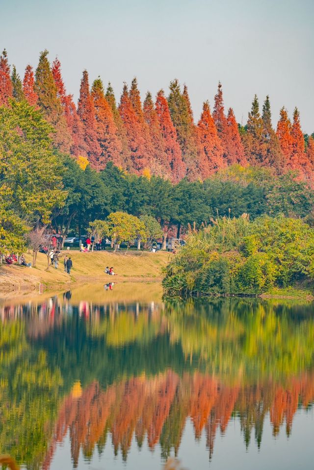 金色秘境打卡帶你飛