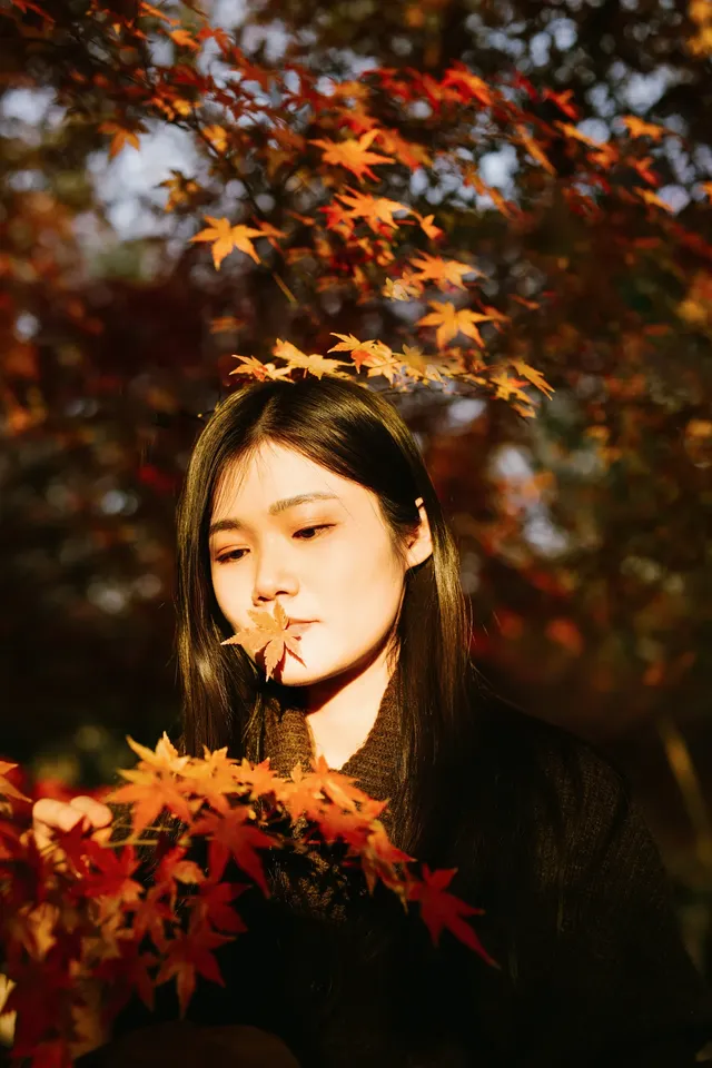 抬頭邂逅一場落地的「星辰」