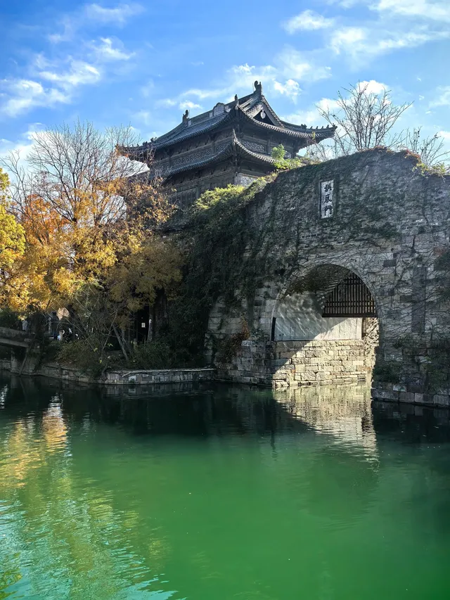 上海週末11|我在乾隆故里拍到了鵝生照片 上海週末11|我在乾隆故里拍到了鵝生照片