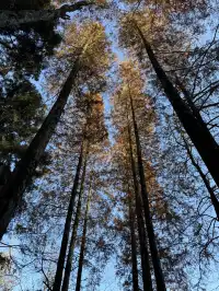 不避雷!莫干山自駕徒步賞秋滬人經驗貼