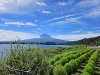 【山梨県】富士山を追いかけて