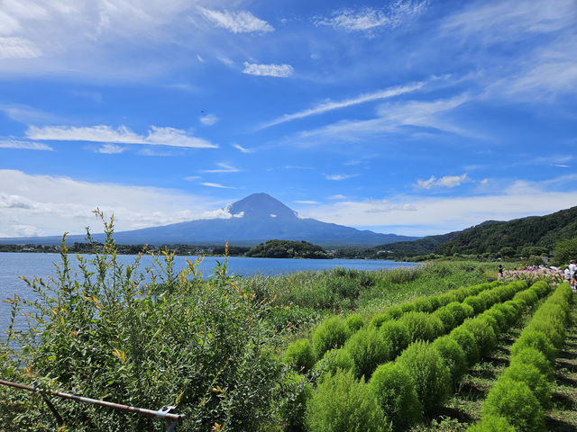 【山梨県】富士山を追いかけて