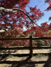 不避雷!莫干山自駕徒步賞秋滬人經驗貼