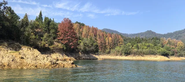 黃山下來80元新安江+千島湖薅羊毛攻略