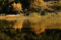 湖光山色共爭秋——瀘沽湖之秋