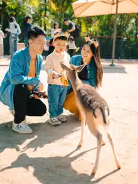 在清遠長隆拍到了絕美親子照