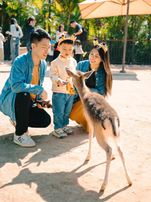 在清遠長隆拍到了絕美親子照 在清遠長隆拍到了絕美親子照