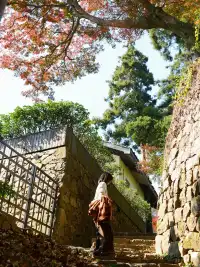 蔣公古道|5小時解鎖莫干山秋日限定美麗