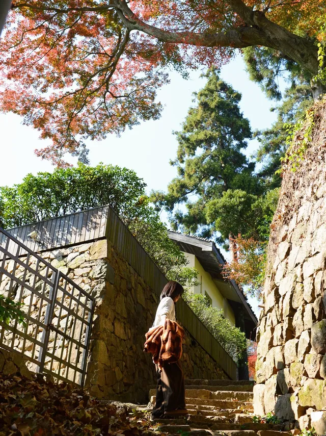 蔣公古道|5小時解鎖莫干山秋日限定美麗