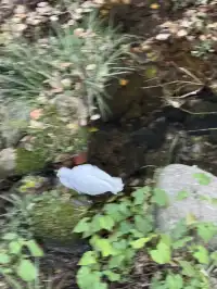 不避雷!莫干山自駕徒步賞秋滬人經驗貼