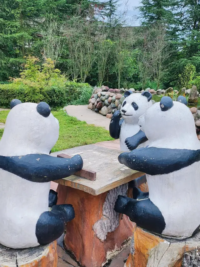 Bifengxia | After seeing the pandas, go for an aerobic hike