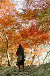 抬頭邂逅一場落地的「星辰」