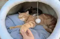 碧山村 | 是李白詩裡的人間秘境啊